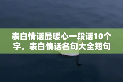 表白情话最暖心一段话10个字，表白情话名句大全短句