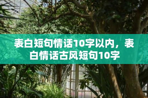 表白短句情话10字以内，表白情话古风短句10字