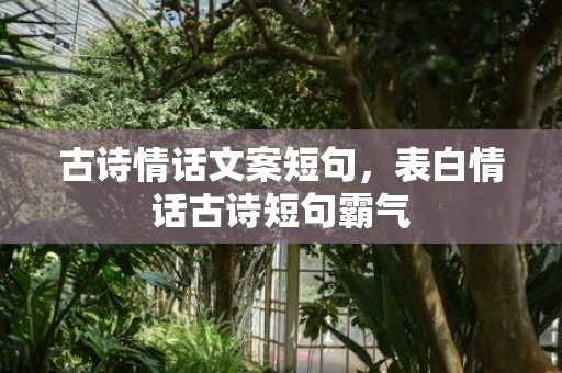 古诗情话文案短句，表白情话古诗短句霸气