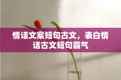 情话文案短句古文，表白情话古文短句霸气