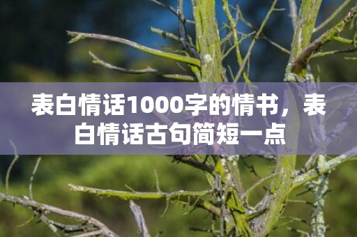 表白情话1000字的情书，表白情话古句简短一点