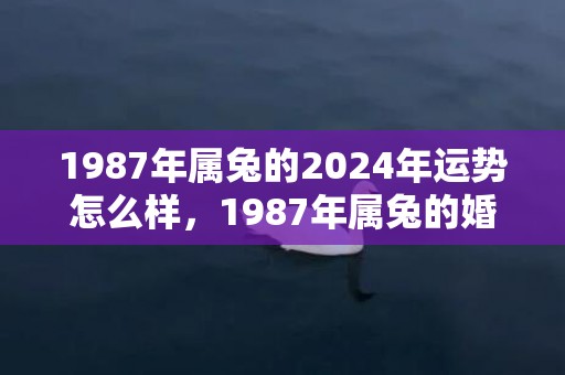 1987年属兔的2024年运势怎么样，1987年属兔的婚姻配对