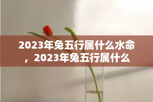 2023年兔五行属什么水命，2023年兔五行属什么