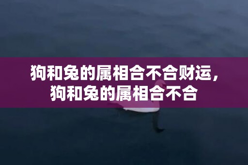 狗和兔的属相合不合财运，狗和兔的属相合不合