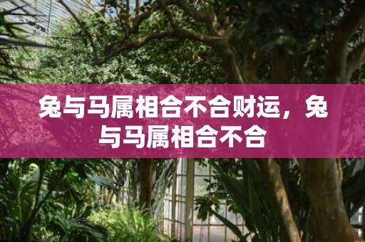 兔与马属相合不合财运，兔与马属相合不合