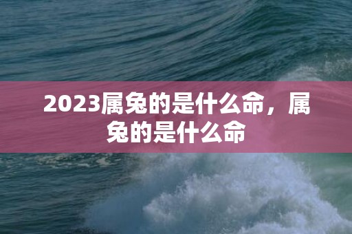 2023属兔的是什么命，属兔的是什么命