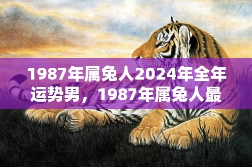 1987年属兔人2024年全年运势男，1987年属兔人最旺的年龄