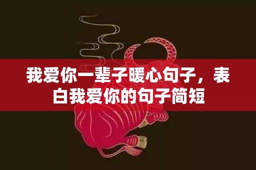 我爱你一辈子暖心句子，表白我爱你的句子简短