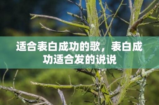 适合表白成功的歌，表白成功适合发的说说