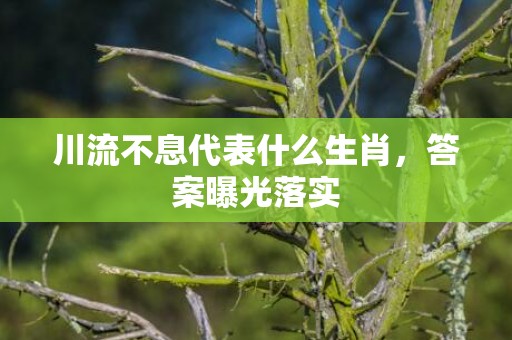 川流不息代表什么生肖，答案曝光落实