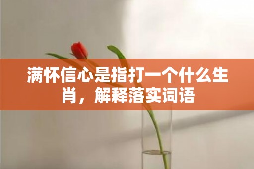 满怀信心是指打一个什么生肖，解释落实词语