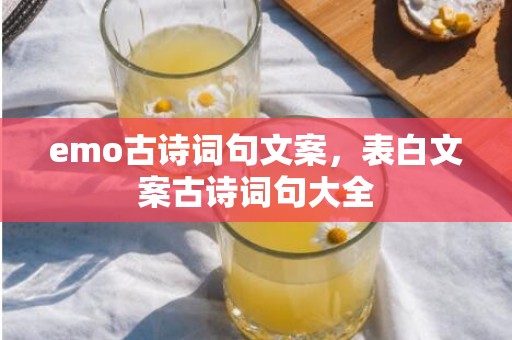 emo古诗词句文案，表白文案古诗词句大全