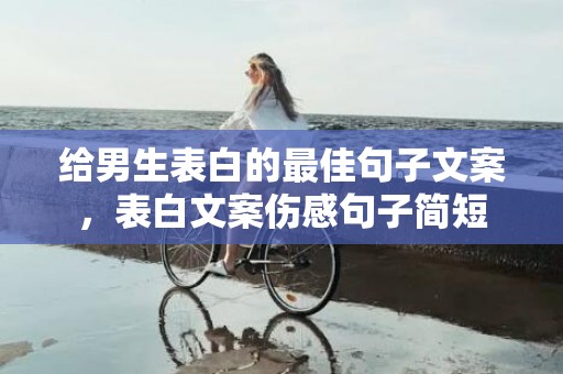 给男生表白的最佳句子文案，表白文案伤感句子简短