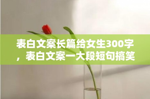 表白文案长篇给女生300字，表白文案一大段短句搞笑