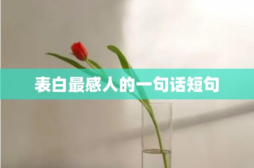 表白最感人的一句话短句