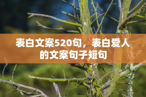 表白文案520句，表白爱人的文案句子短句