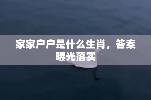 家家户户是什么生肖，答案曝光落实