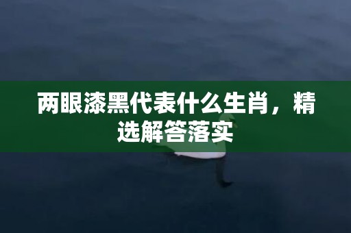 两眼漆黑代表什么生肖，精选解答落实