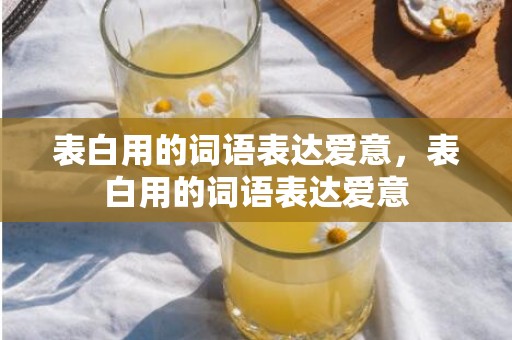 表白用的词语表达爱意，表白用的词语表达爱意