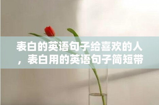 表白的英语句子给喜欢的人，表白用的英语句子简短带翻译