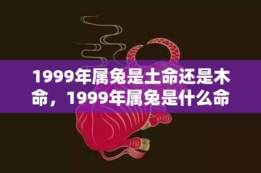 1999年属兔是土命还是木命，1999年属兔是什么命