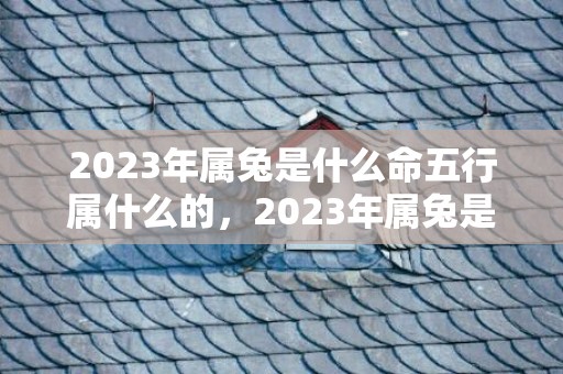 2023年属兔是什么命五行属什么的，2023年属兔是大溪水命吗