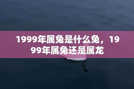 1999年属兔是什么兔，1999年属兔还是属龙