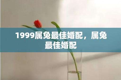 1999属兔最佳婚配，属兔最佳婚配