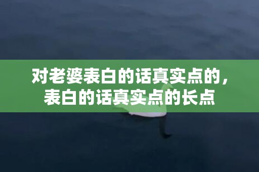 对老婆表白的话真实点的，表白的话真实点的长点