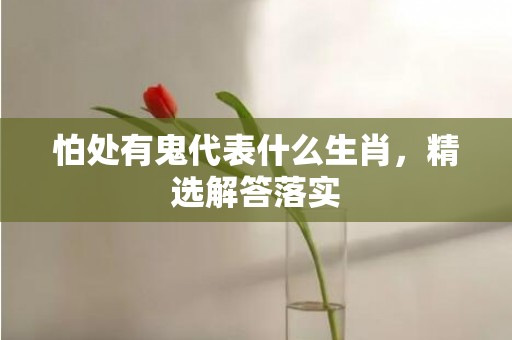 怕处有鬼代表什么生肖，精选解答落实