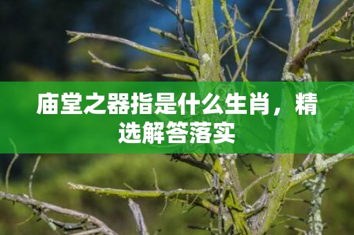 庙堂之器指是什么生肖，精选解答落实