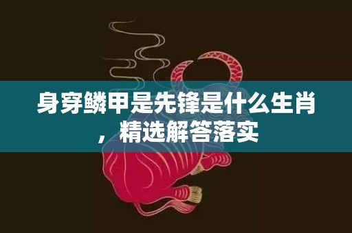 身穿鳞甲是先锋是什么生肖，精选解答落实