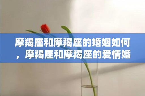 摩羯座和摩羯座的婚姻如何，摩羯座和摩羯座的爱情婚姻怎么样