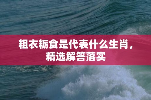 粗衣粝食是代表什么生肖，精选解答落实