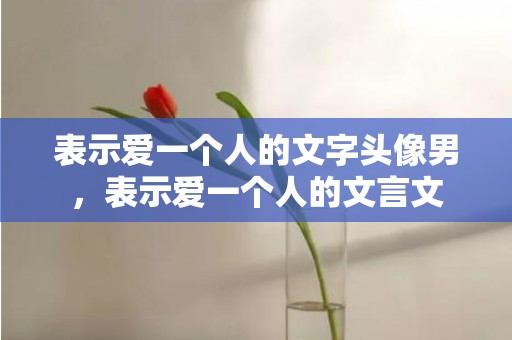 表示爱一个人的文字头像男，表示爱一个人的文言文