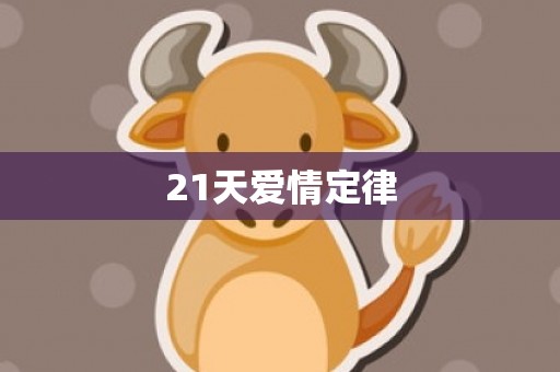 21天爱情定律