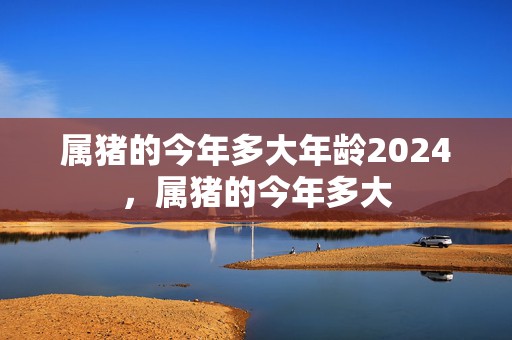 属猪的今年多大年龄2024，属猪的今年多大