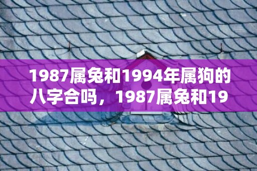 1987属兔和1994年属狗的八字合吗，1987属兔和1990属马婚姻如何