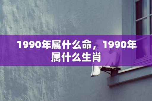 1990年属什么命，1990年属什么生肖