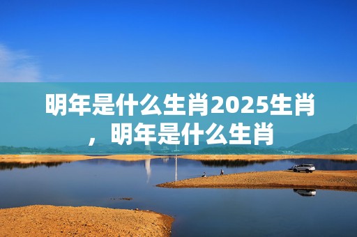 明年是什么生肖2025生肖，明年是什么生肖