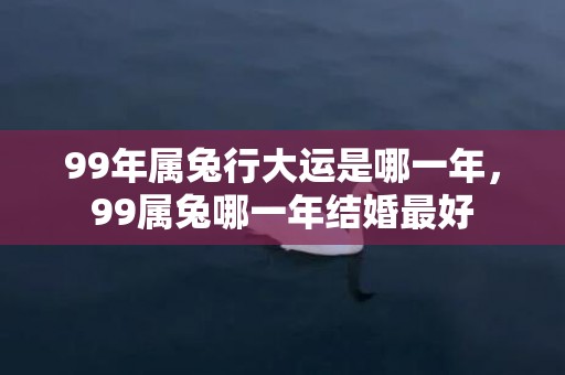 99年属兔行大运是哪一年，99属兔哪一年结婚最好