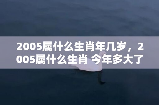 2005属什么生肖年几岁，2005属什么生肖 今年多大了