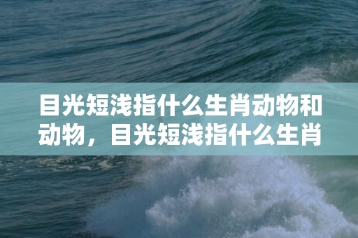 目光短浅指什么生肖动物和动物，目光短浅指什么生肖