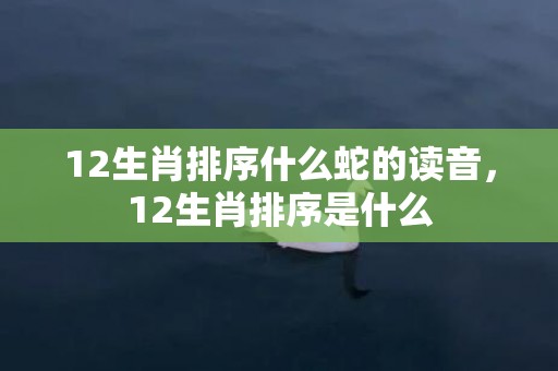 12生肖排序什么蛇的读音，12生肖排序是什么