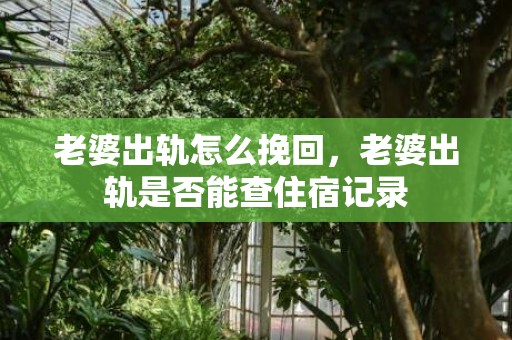 老婆出轨怎么挽回，老婆出轨是否能查住宿记录