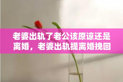 老婆出轨了老公该原谅还是离婚，老婆出轨提离婚挽回该怎么说话呢