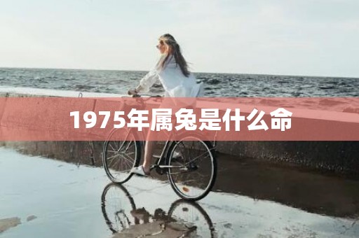 1975年属兔是什么命