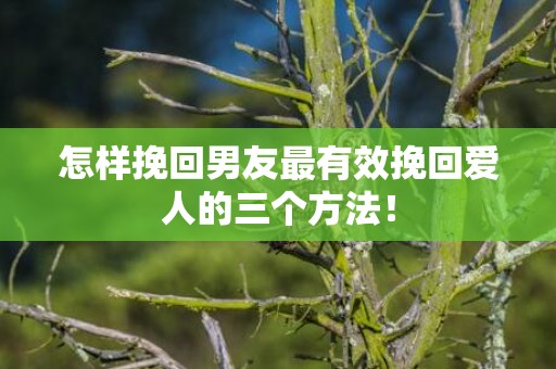 怎样挽回男友最有效挽回爱人的三个方法！