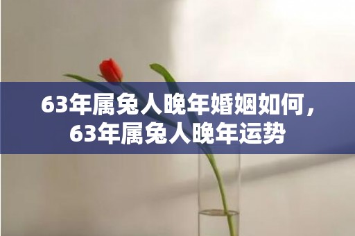 63年属兔人晚年婚姻如何，63年属兔人晚年运势