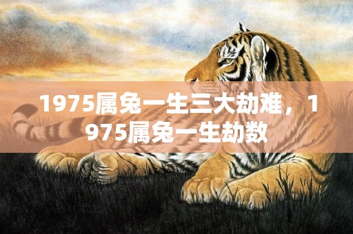 1975属兔一生三大劫难，1975属兔一生劫数